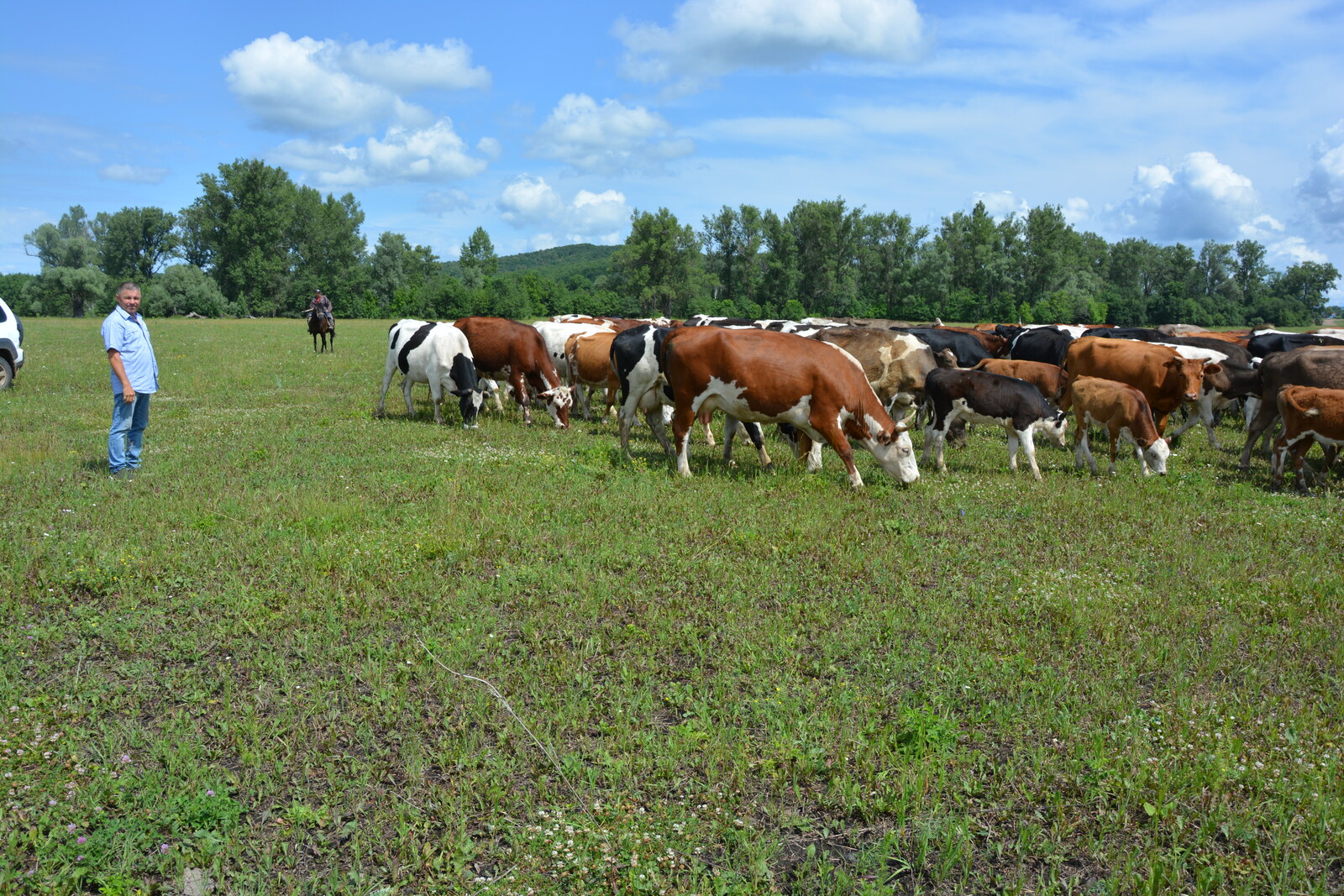 Мал аҙығы мул буласаҡ