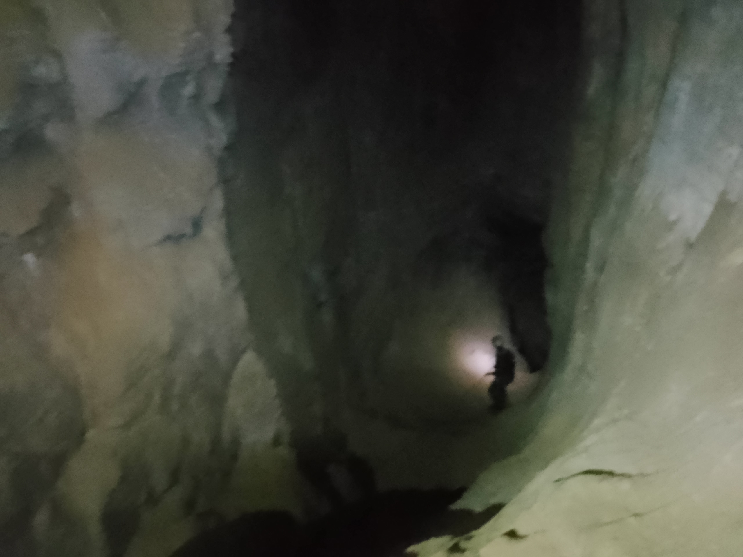 Мәмерйәгә ҡышҡы сәйәхәт