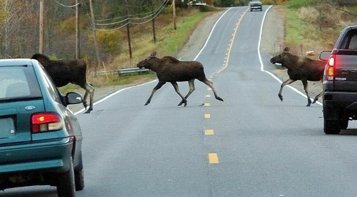 Юлдарҙа иғтибарлы булығыҙ