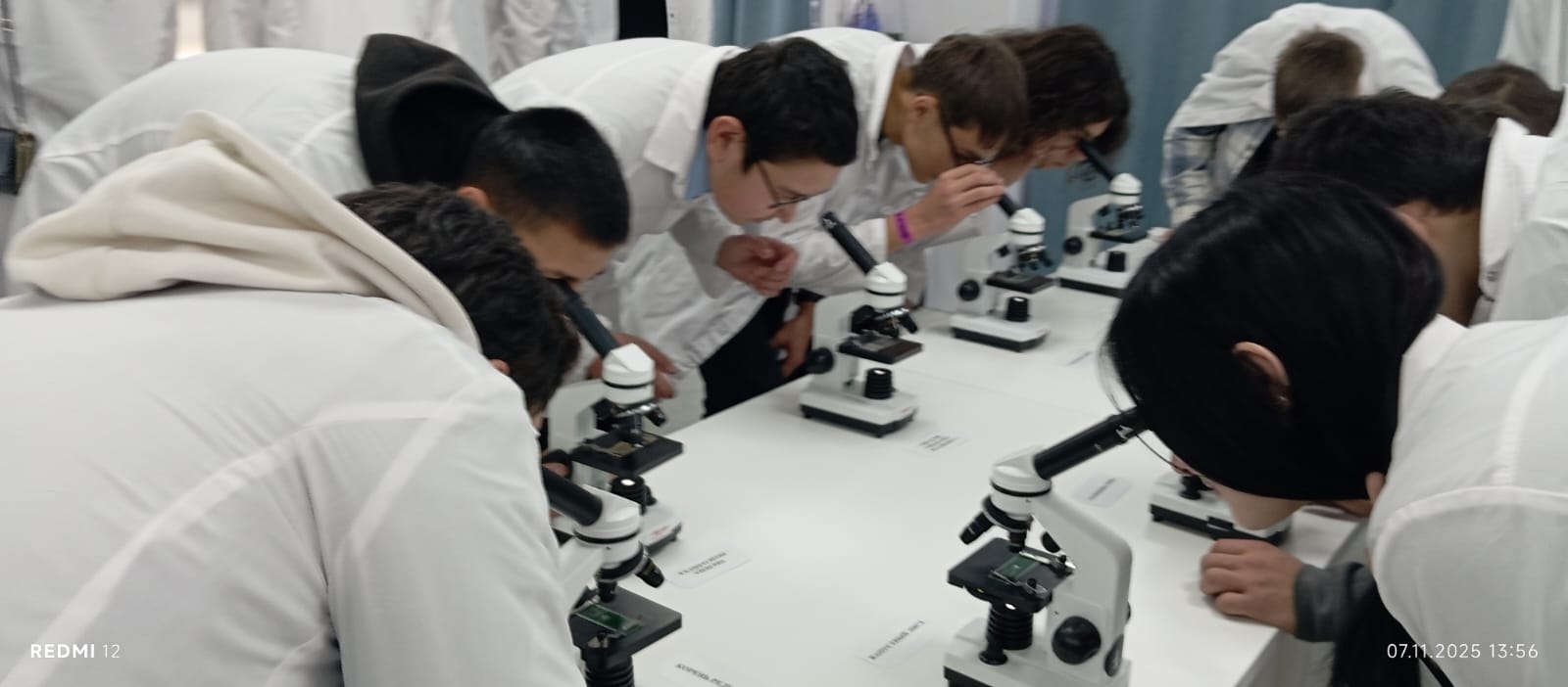 Йөҙимән уҡыусылары - агросәнәғәт комплексы һөнәрҙәре ҡаласығында