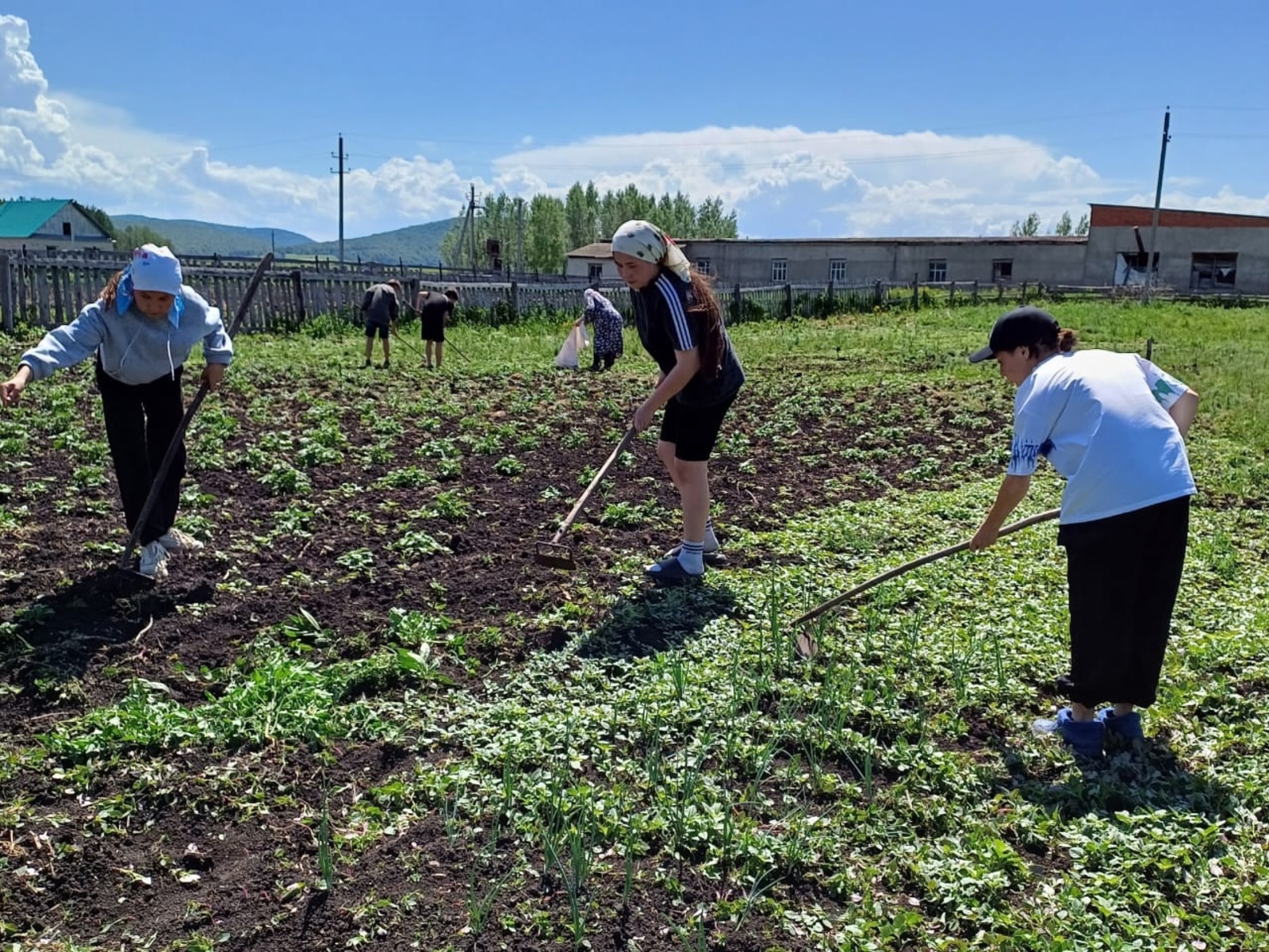 Тимурсыларға рәхмәт!