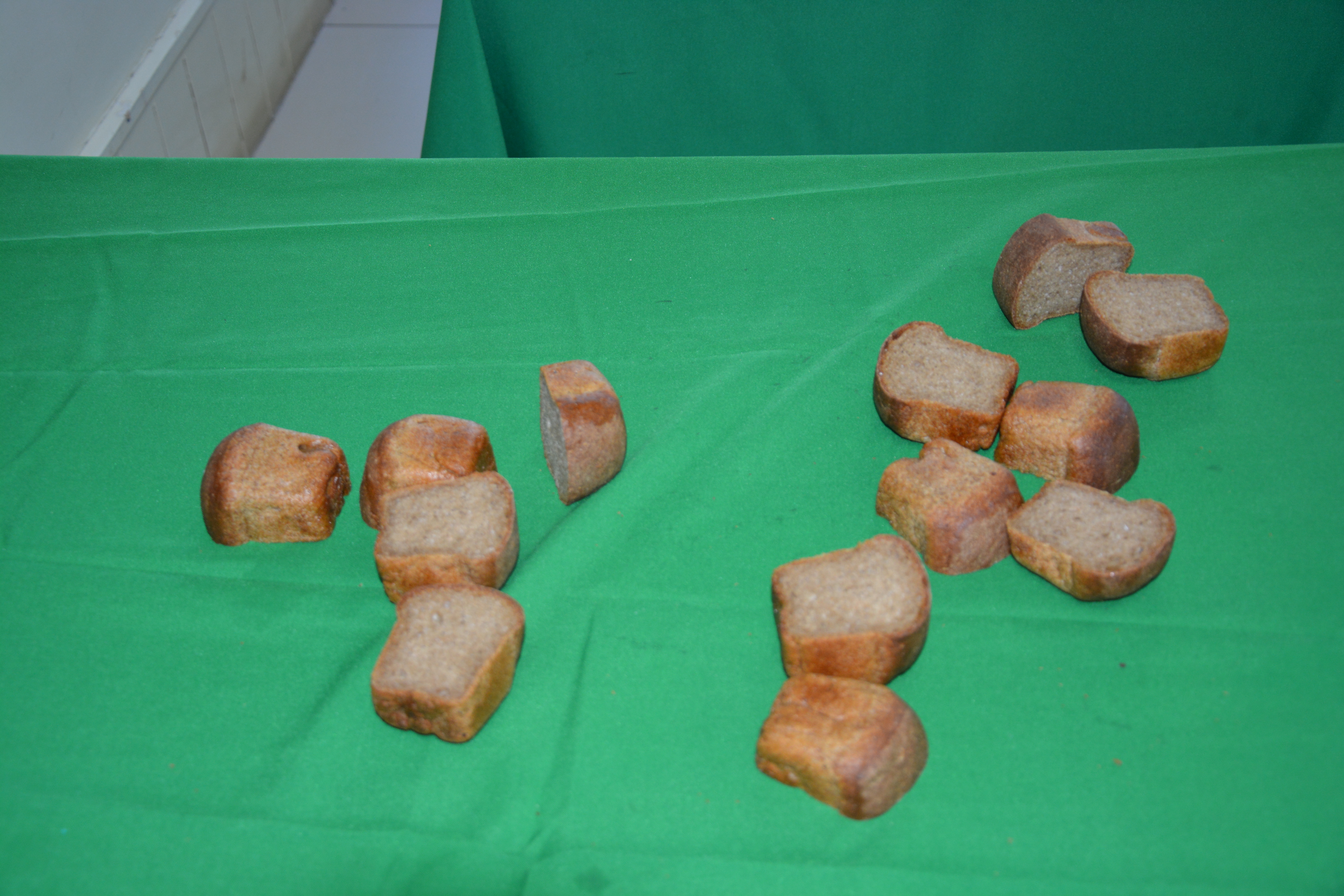 Ленинград блокадаһын иҫкә алып...