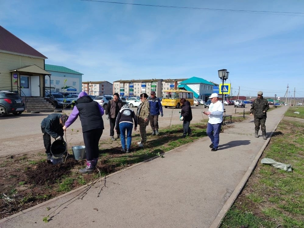 Ағастар шаулап үҫһен