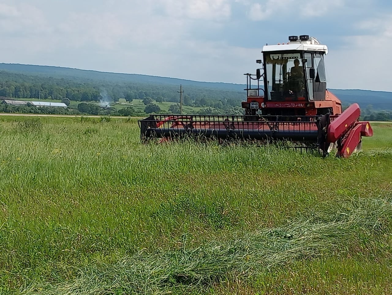 Мал аҙығына ҡытлыҡ булмаясаҡ