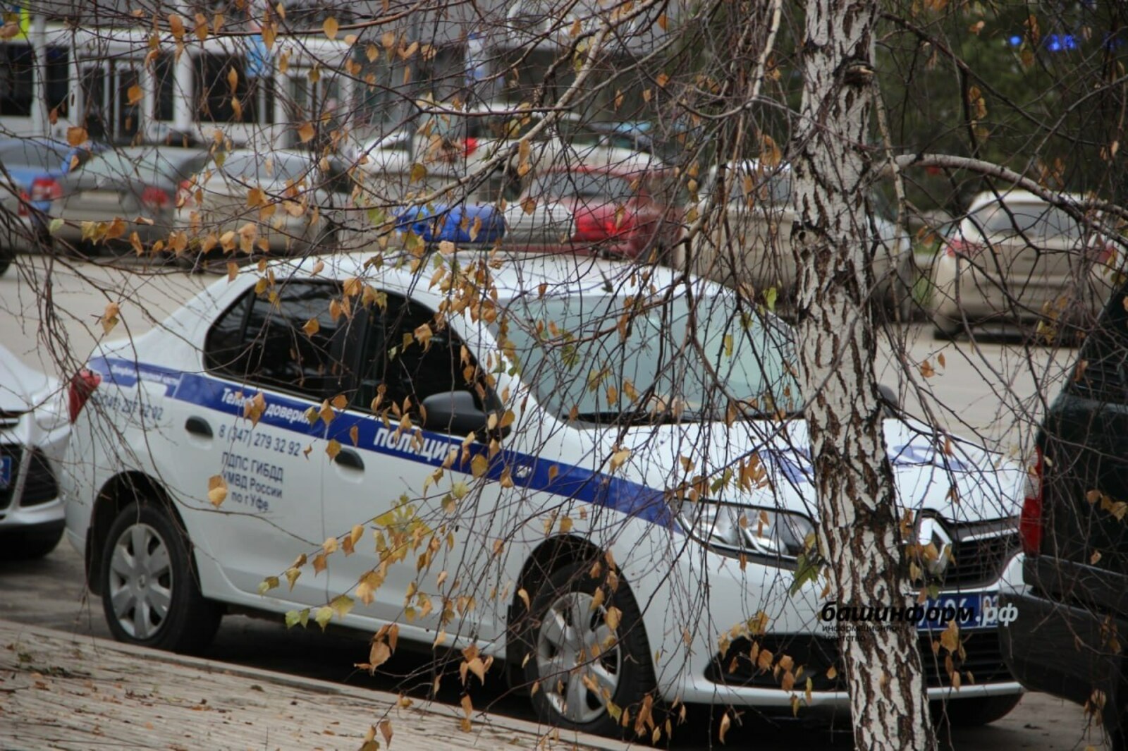 В Гафурийском районе ГИБДД усилит патрулирование на дороге