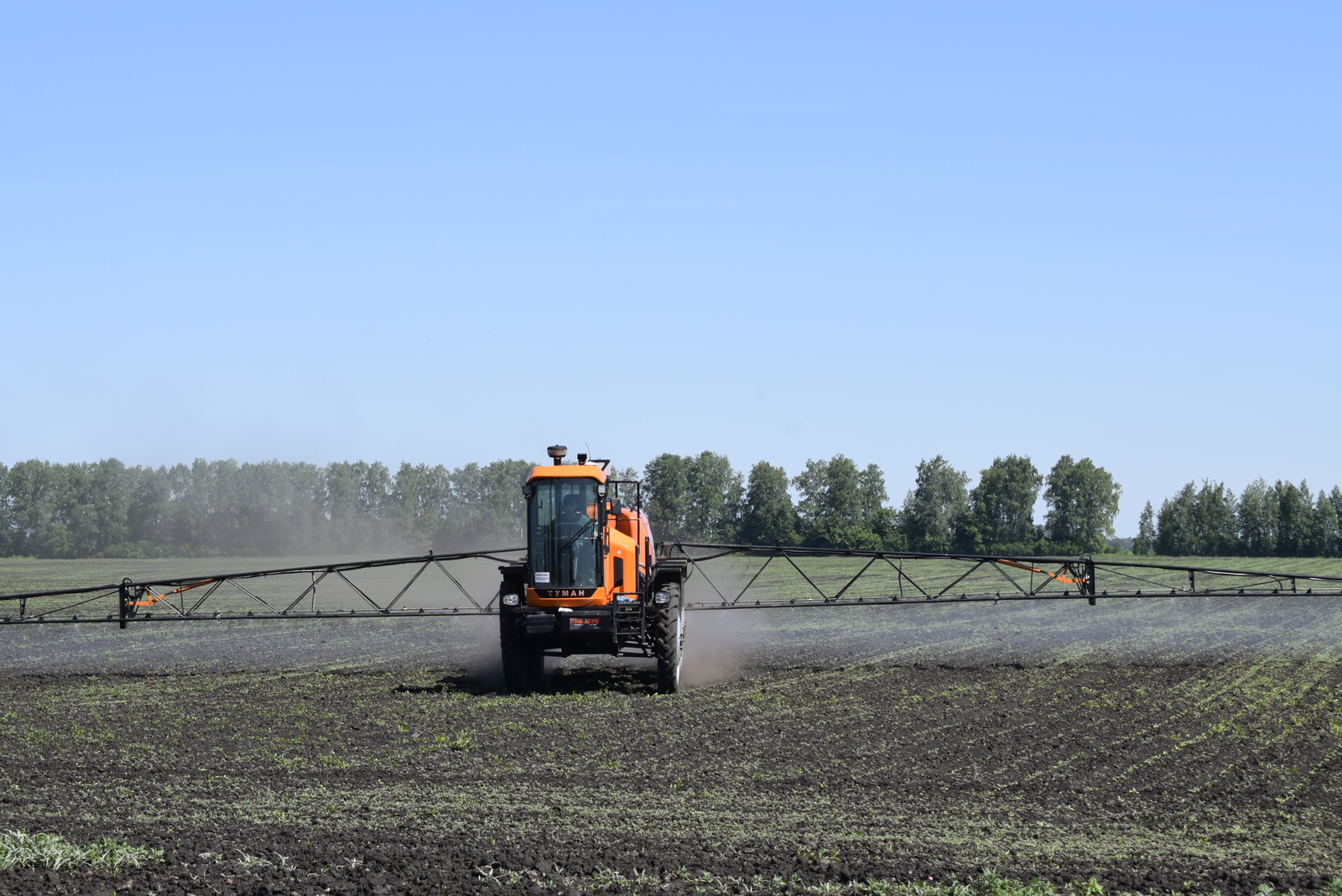 Сәсеүлектәрҙә химик утау бара