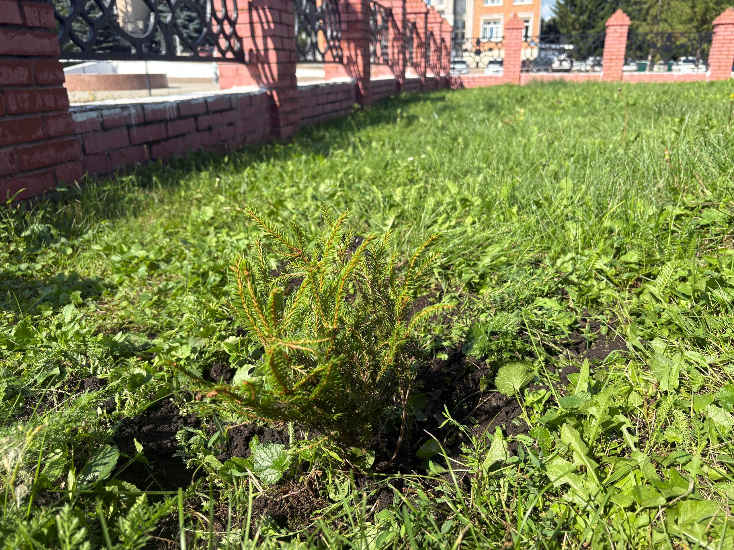 Район эҙәрмәндәре – Карелияла