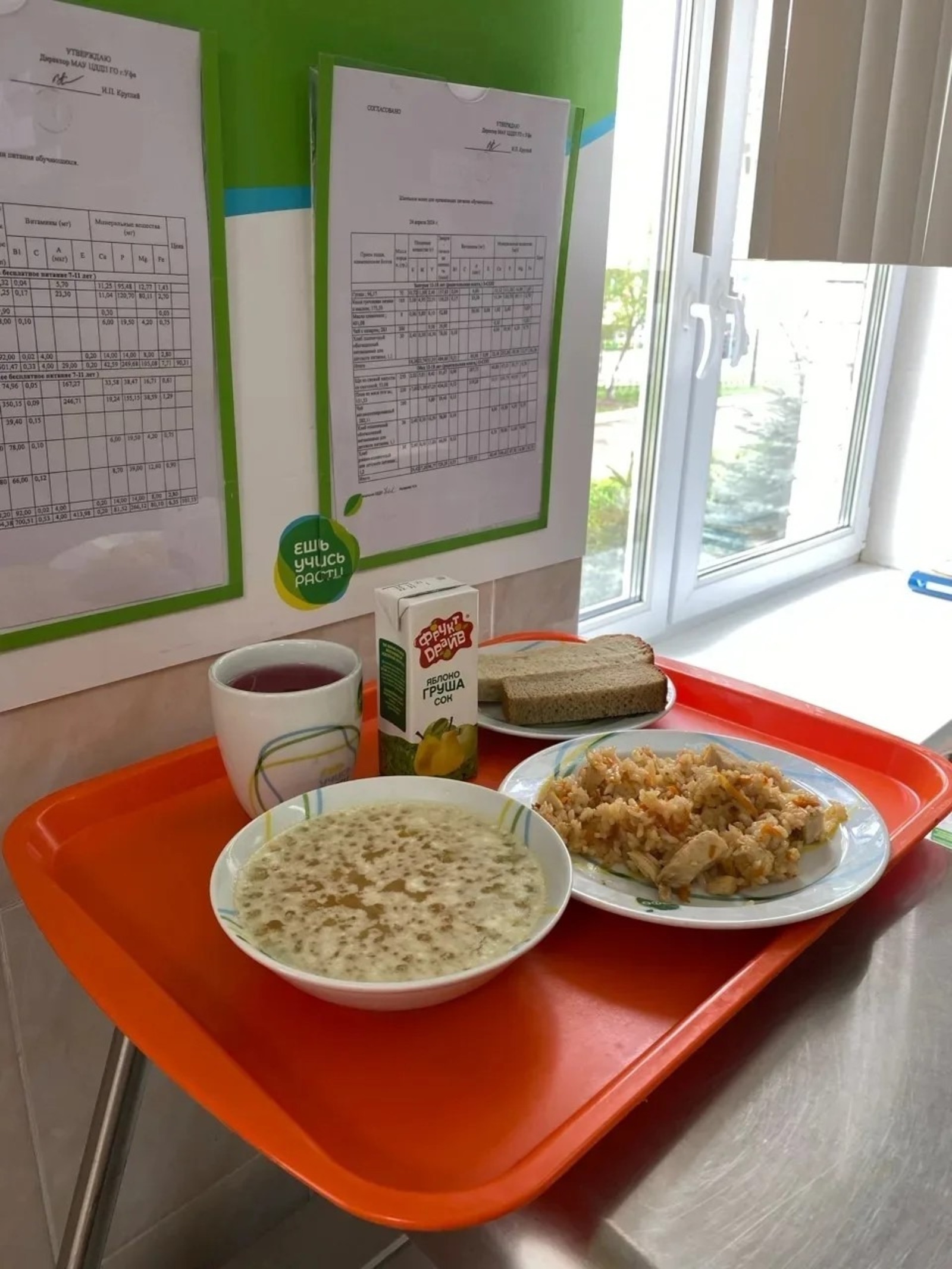 Общественная палата Башкирии запустила опрос среди родителей учеников начальной