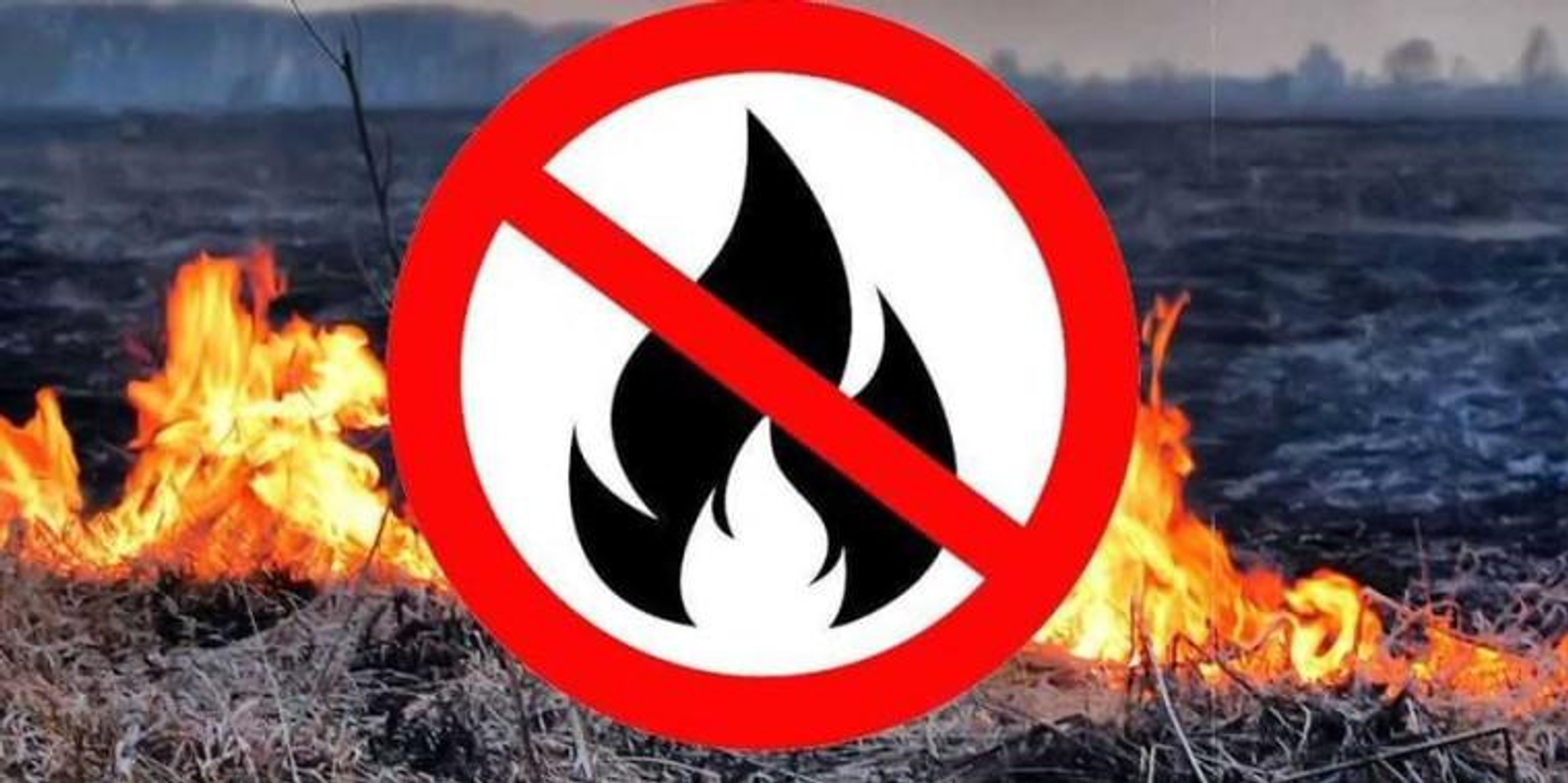 Махсус режим индерелә