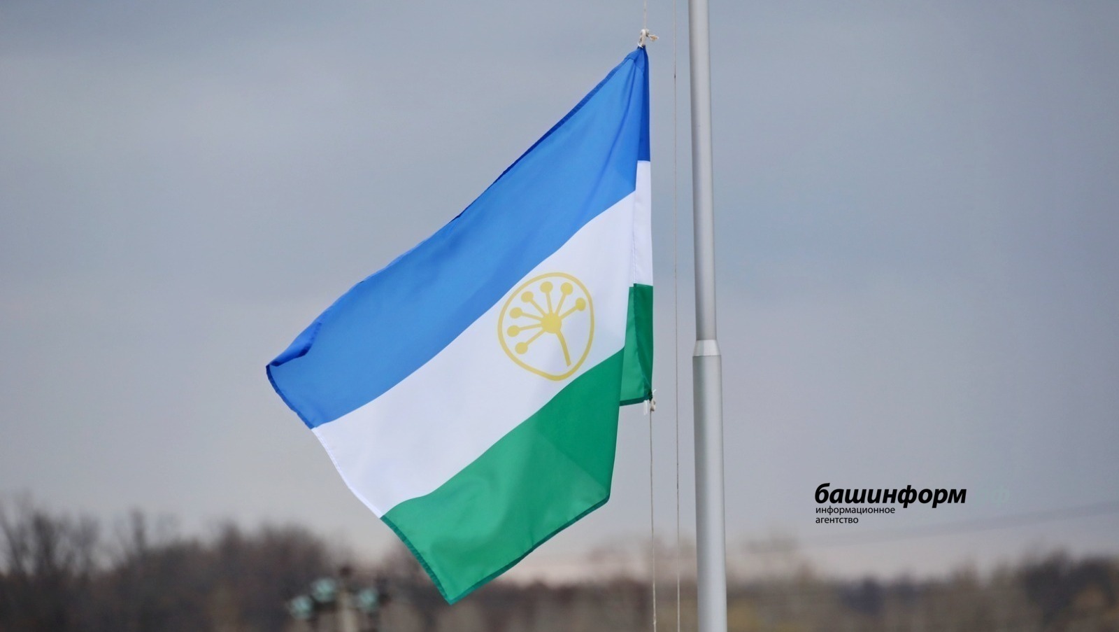 Бөгөн Башҡортостан Республикаһының Дәүләт флагы көнө билдәләнә