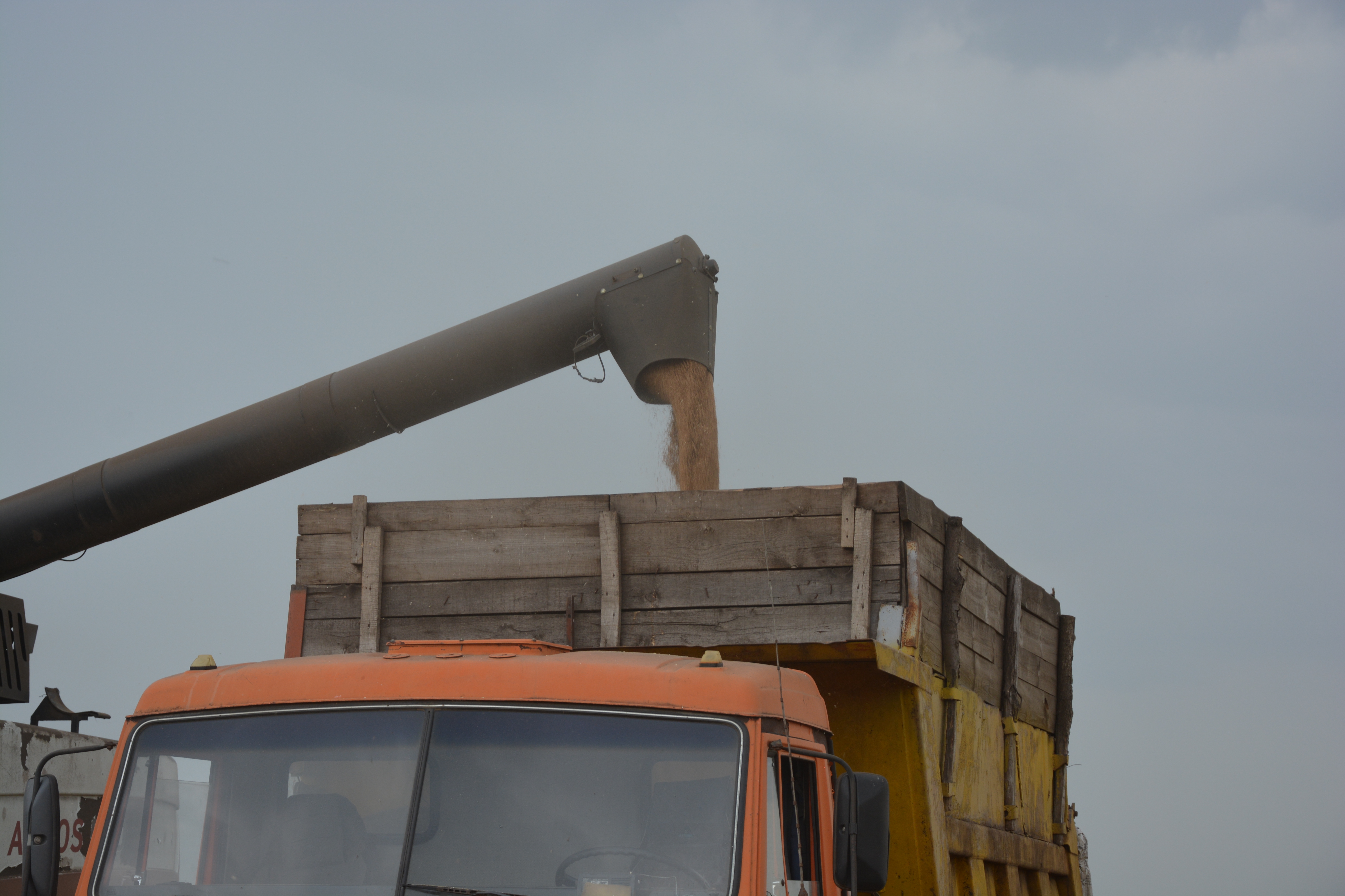 Сәғәте көнгә торошло мәл етте