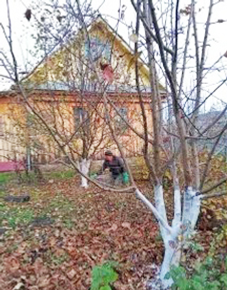 Алмаларығыҙ бешһен алланып...